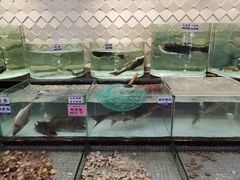 -新海利海鲜城·41年珠海老字号(夏湾店)