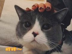 -生如夏花泰式火锅(西村黑金店)