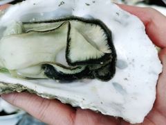 -蚝山·喷汽火山生蚝(前福路店)