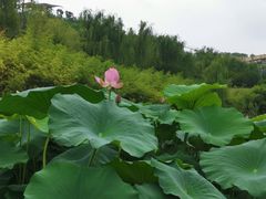 -白鹿原影视城
