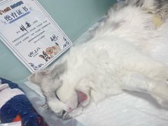-达爱动物医院·犬猫分区·CT·复杂眼科(远洋山水分院)