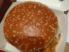 -麦当劳(桃仙机场到达层店)