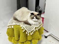 -iF摄影•全家福•证件照•形象照(南山店)