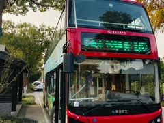 -金山农民画村-枫泾波兰倒置屋