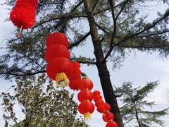 -成都动物园