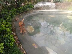 -苏州湾王焰温泉度假酒店