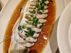 -金美华轩(东方路齐鲁店)
