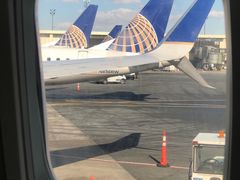 -纽瓦克自由国际机场