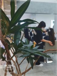 -禾曼造型
