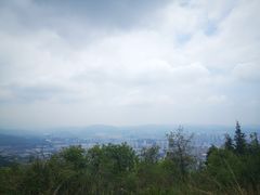 -长虫山生态公园风景林