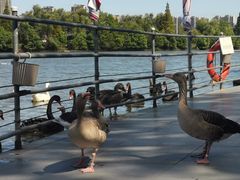 -艾溪湖湿地公园