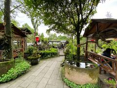 -青城甲(青城山店)