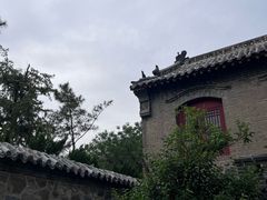 -华山风景区-华阳宫