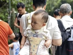 -西岭雪山大飞水景区