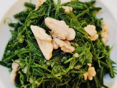 香炝龙须菜-德泰楼餐饮(莲湖路店)