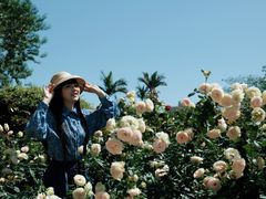 -人民公园(罗湖区)