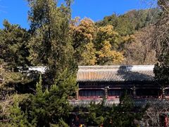 -潭柘寺景区