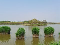-西青郊野公园