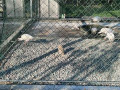 -下渚湖国家湿地公园科普馆