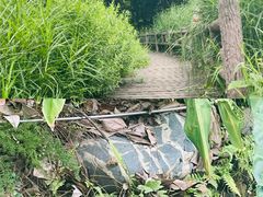-成都市活水公园
