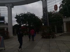 -金鸡山公园