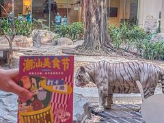 -白虎自助餐厅·真老虎·景观自助餐厅(广州长隆酒店)