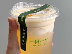-一树一叶·福建茶档(石鼓路店)