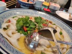 鲜椒鲈鱼-陆小凤四川料理(北京路店)