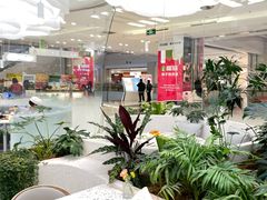 -大树餐厅(朝阳大悦城店)