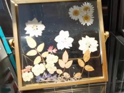 -明宇集团·积木枝芽母婴健康管理中心(天府店)