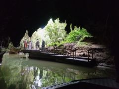 -怀托摩萤火虫洞