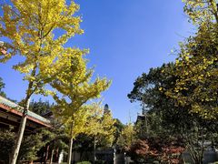 -莆田南少林寺
