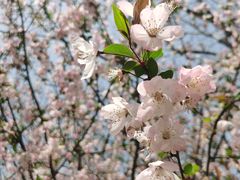 -南山风景名胜区