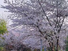 -尚贤河湿地