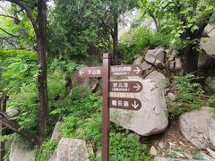 -阳台山自然风景区