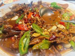 -阳光家常菜(泉城路店)