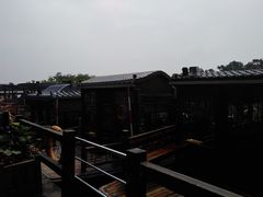 -大湾区中央湿地公园