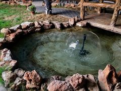 -缘福乡村铁锅炖民宿(八达岭店)