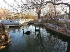 android_upload_pic-北京市海淀外国语实验学校