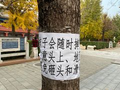 -北京石刻艺术博物馆(五塔寺)