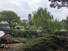 -葛仙湖公园