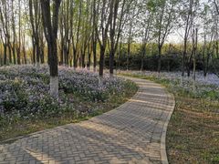 -东郊湿地公园