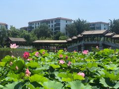 -西海子公园