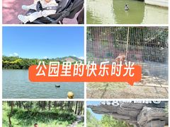 -北宫国家森林公园