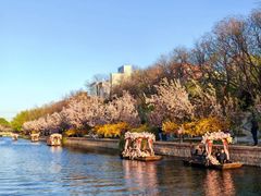 -元大都城垣遗址公园