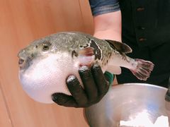 -天丰日本料理·铁板烧