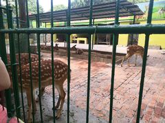 -荆州中山公园动物园