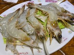 -金砂阿洲鱼册店