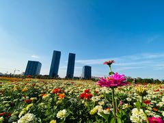 -映月湖中央公园
