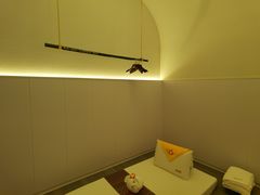 -泰合玺·精油按摩(河西龙湖天街店)